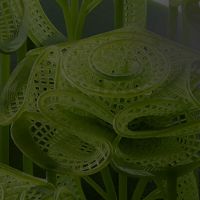 Anycubic Photon P1 Schichthöhe