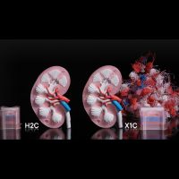 Purge-Reduktion Bambu Lab H2C