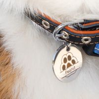 Hochauflösende Gravur und Schneiden auf H2C Combo