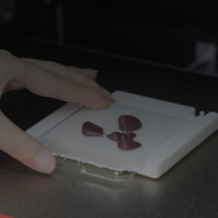 Raise3D E3 automatische Nivellierung